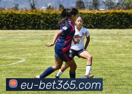 bet365APP 体育赛事宣传图